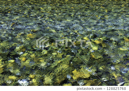 A clear, transparent stream and the beautiful blue color of the Azusa River in summer A clear, transparent stream and the beautiful blue color of the Azusa River in summer 128825768