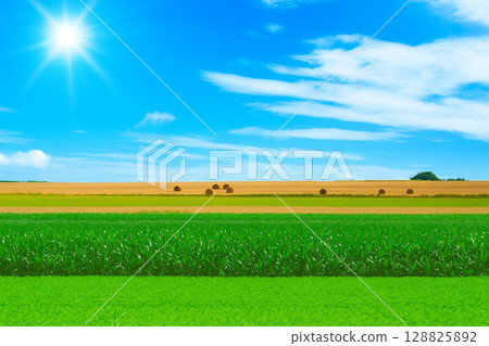 在聖米歇爾山附近的農村景觀 在聖米歇爾山附近的農村景觀 128825892