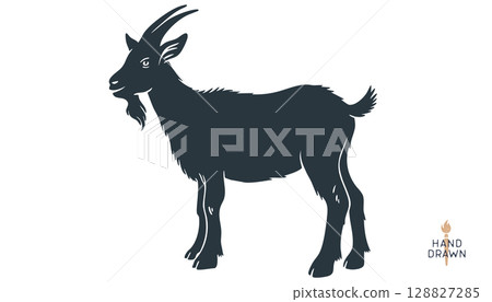 Goat. Vintage retro print, black white goat drawing, sketch ink pencil draw, engrave old school style. Sketch artwork silhouette goat with horns. Side view profile goat. Vector Illustration 128827285
