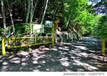 Hinatazaka Pass in the Misaka Mountains Prefectural Forest Road Kabuirizawa Kamiashigawa Line A hiking trail crossing the forest road Hinatazaka Pass in the Misaka Mountains Prefectural Forest Road Kabuirizawa Kamiashigawa Line A hiking trail crossing the forest road 128827873