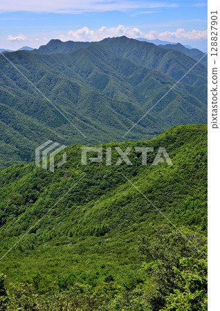 Summer in the Misaka Mountains: View from the summit of Shakagatake 128827901