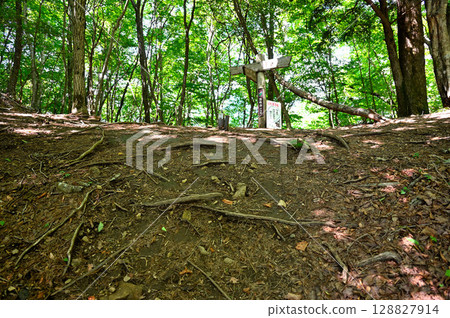 禦坂山的釋迦岳、笛吹市健行路線、上足川交叉口 128827914