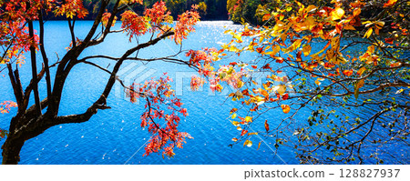 Refreshing autumn scenery of autumn leaves at Onneto in Hokkaido 128827937