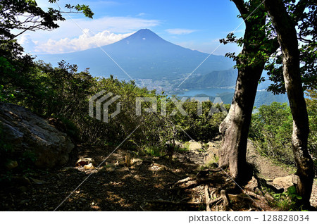 Fuji in summer as seen from the Kurodake Observatory in the Misaka Mountains 128828034