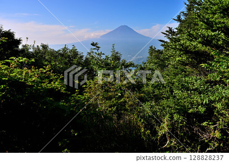 Mt. Fuji in summer as seen from the first observation deck at Shindo Pass on Mount Hafu in the Misaka Mountains Mt. Fuji in summer as seen from the first observation deck at Shindo Pass on Mount Hafu in the Misaka Mountains 128828237