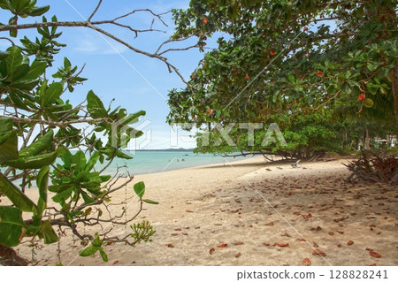 Peaceful tropical beach with clear sky in Khao Lak Peaceful tropical beach with clear sky in Khao Lak 128828241