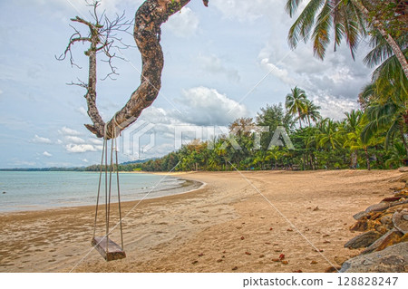 Tree swing over empty beach in Khao Lak Thailand Tree swing over empty beach in Khao Lak Thailand 128828247