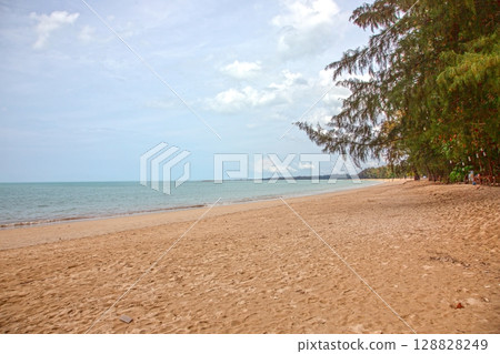Serene tropical beach with green tree shade in Khao Lak 128828249