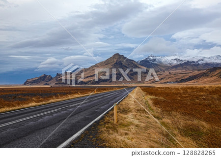 Scenic road to mountains in southern Iceland 128828265