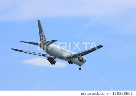 Passenger plane landing at Haneda Airport, airplane landing approach 128828601