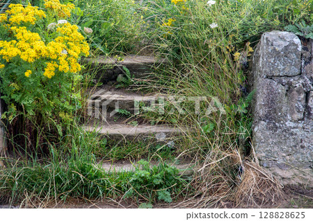 Old Stonework Steps at an Overgrown Beachside Location 128828625