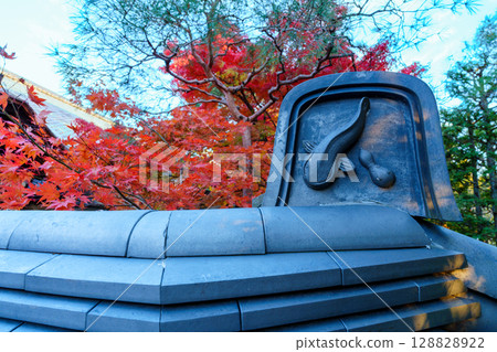 Catfish roof tile surrounded by autumn leaves 128828922