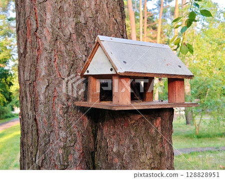 Wooden bird feeder and sparrow Bird feeder, wooden bird house, feeding for birds 128828951