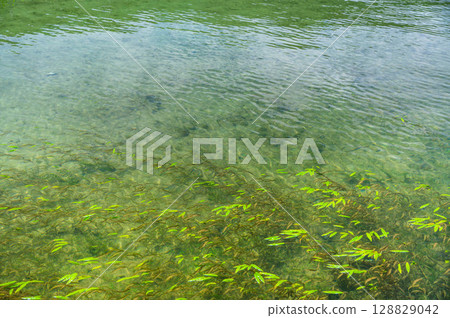Lake Kizaki: The crystal clear surface of the lake Lake Kizaki: The crystal clear surface of the lake 128829042