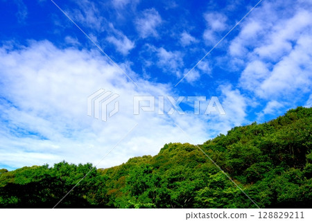 新鮮的青山、藍天和白雲 128829211