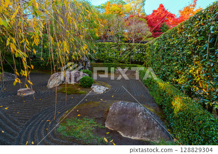 Myoshinji Taizoin Temple: Yin and Yang Garden Myoshinji Taizoin Temple: Yin and Yang Garden 128829304