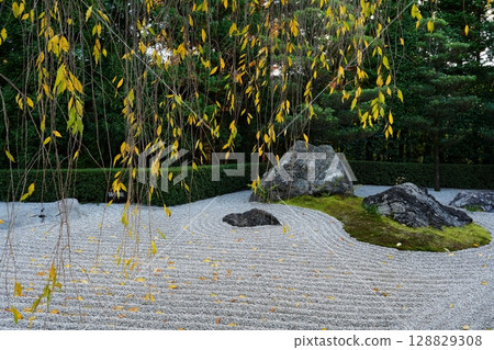Myoshinji Taizoin Temple: Yin and Yang Garden Myoshinji Taizoin Temple: Yin and Yang Garden 128829308