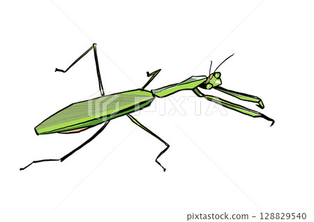 巨型螳螂插圖 巨型螳螂插圖 128829540