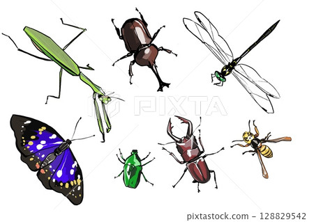 日本昆蟲插圖集 128829542