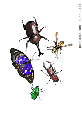 一組聚集在樹液周圍的昆蟲插圖 一組聚集在樹液周圍的昆蟲插圖 128829543