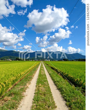 AI Image: Country Road 128829853