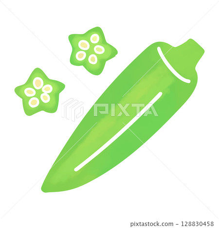 水彩風格的簡單秋葵插圖 128830458
