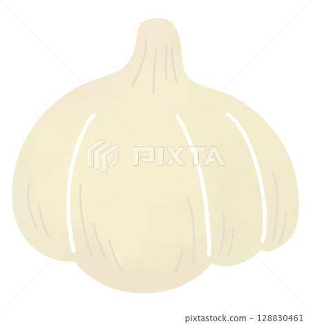 Simple garlic illustration in watercolor style Simple garlic illustration in watercolor style 128830461
