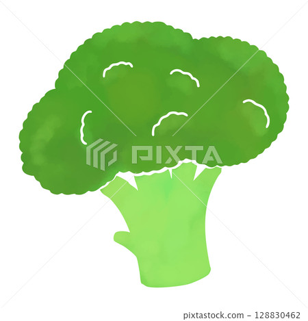 簡單的水彩風格西蘭花插圖 128830462