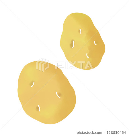 水彩馬鈴薯插圖 128830464