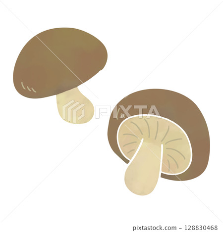Simple shiitake mushroom illustration in watercolor style Simple shiitake mushroom illustration in watercolor style 128830468
