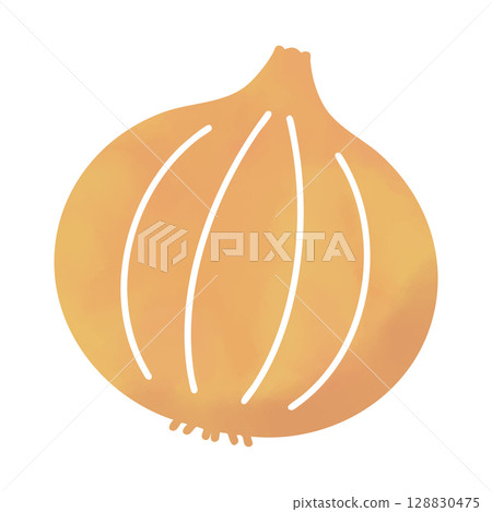 Simple onion illustration in watercolor style 128830475