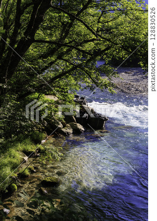 上高地的田代橋上眺望的梓川清澈的河水和自然風光 128830526