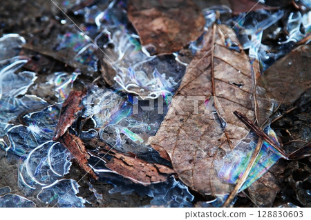 Frozen fallen leaves 128830603