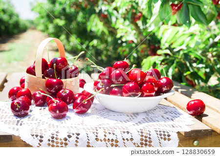 ripe juicy cherries in a white bowl on a lace napkin on the table 128830659