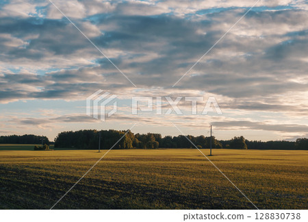 Wide open fields under a cloudy sky in rural countryside at sunset with electric poles in the background Wide open fields under a cloudy sky in rural countryside at sunset with electric poles in the background 128830738