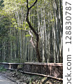  Bamboo grove 128830787