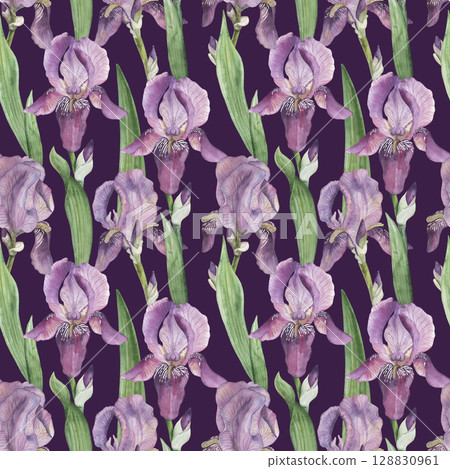 Seamless pattern with lilac irises, green leaves on a dark purple background. The flower illustration is hand-painted in watercolor in a botanical style. For wallpaper design, textiles, fabric, paper 128830961