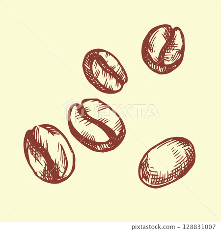 coffee beans vector illustration in vintage sketch style 128831007