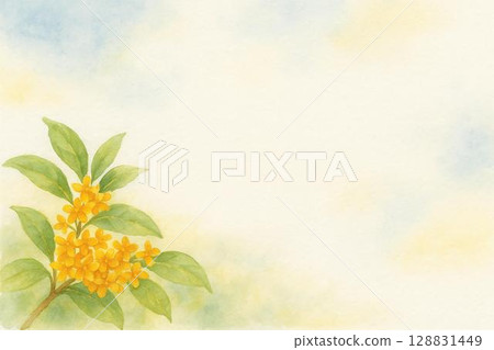 桂花明信片 128831449