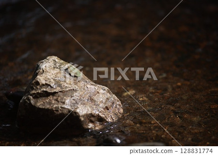 Rock is sitting in a body of water Rock is sitting in a body of water 128831774
