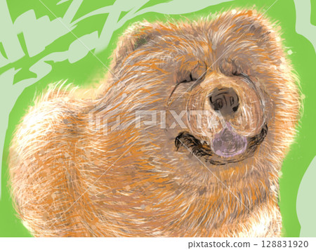 毛茸茸的鬆獅犬 毛茸茸的鬆獅犬 128831920