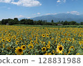 Sunflower fields and the Southern Alps in Akeno, Hokuto City 128831988