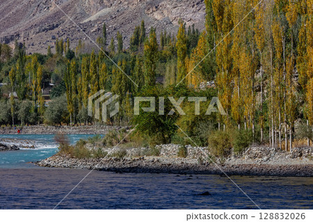 The autumn scenery with Hindu Kush mountain range in the background is very beautiful, Gahkuch,northern Pakistan. 128832026
