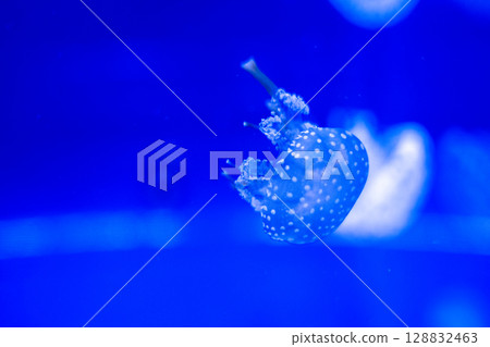 Mysterious Blue - Fantastic Jellyfish 128832463