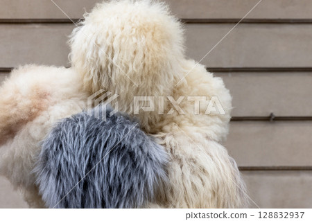 Focused view of neutral-toned fluffy Caucasian hats, captured in natural light 128832937