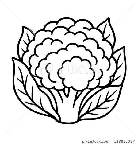 Cauliflower black and white icon clean line art, doodle style 128833087