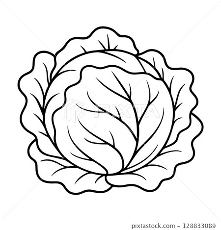 Cabbage black and white icon clean line art, doodle style 128833089