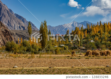 The autumn scenery with Hindu Kush mountain range in the background is very beautiful, Gahkuch,northern Pakistan. 128833246