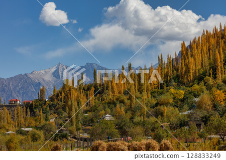 The autumn scenery with Hindu Kush mountain range in the background is very beautiful, Gahkuch,northern Pakistan. 128833249