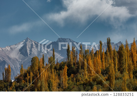 The autumn scenery with Hindu Kush mountain range in the background is very beautiful, Gahkuch,northern Pakistan. 128833251
